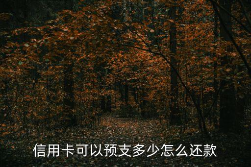 信用卡可以預(yù)支多少怎么還款