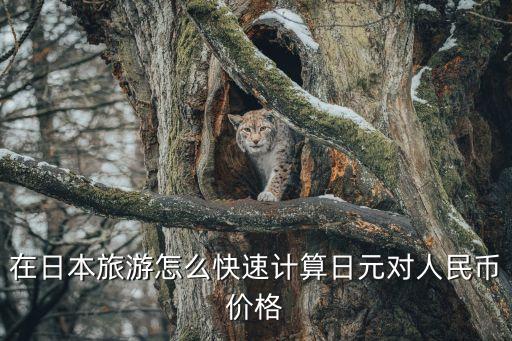 在日本旅游怎么快速計(jì)算日元對(duì)人民幣價(jià)格