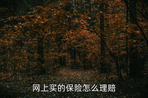 互聯(lián)網(wǎng)保險形勢下理賠怎么，在支付寶買保險如何理賠