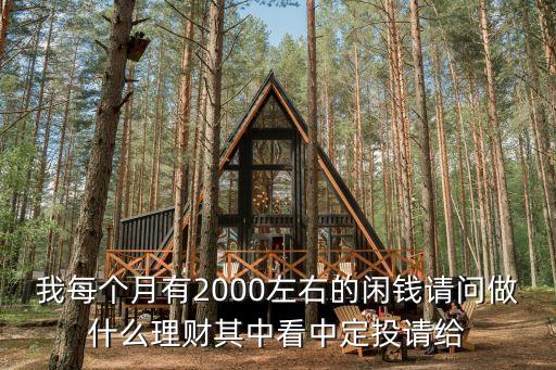 我每個月有2000左右的閑錢請問做什么理財其中看中定投請給