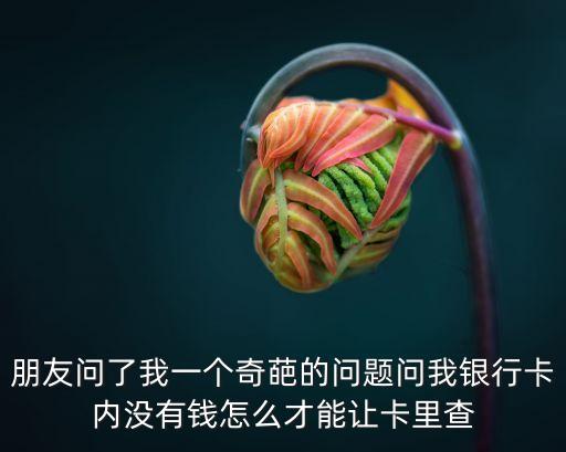 朋友問了我一個(gè)奇葩的問題問我銀行卡內(nèi)沒有錢怎么才能讓卡里查