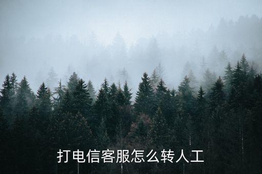 95595怎么轉(zhuǎn)人工，怎樣才能進入人工服務(wù)打95595還按幾號鍵