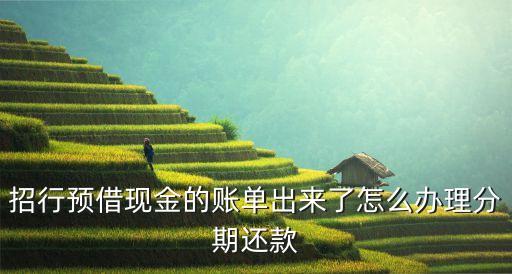 招行預(yù)借現(xiàn)金怎么分期嗎，招商銀行信用卡預(yù)借現(xiàn)金可以分期還款嗎