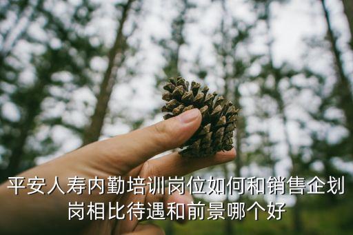 平安人壽內(nèi)勤培訓(xùn)崗位如何和銷售企劃崗相比待遇和前景哪個(gè)好