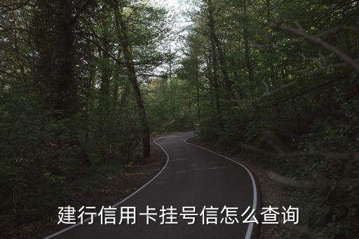 建行龍卡掛號后怎么查詢信息，建行信用卡掛號信怎么查詢
