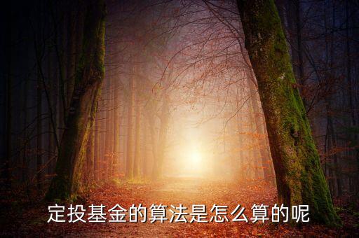 定投基金怎么算，定投基金的算法是怎么算的呢
