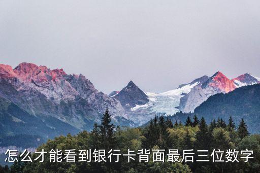 怎么才能看到銀行卡背面最后三位數(shù)字