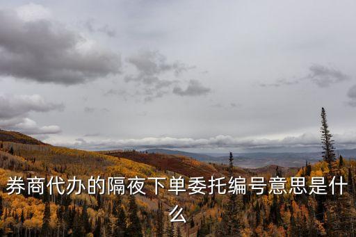 在手機(jī)上怎么隔夜委托，萬聯(lián)證劵接受隔夜委托么 請問什么時候委托有效啊
