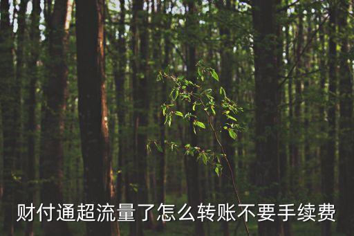 財(cái)付通超流量了怎么轉(zhuǎn)賬不要手續(xù)費(fèi)