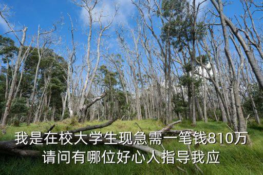 我是在校大學(xué)生現(xiàn)急需一筆錢810萬(wàn)請(qǐng)問(wèn)有哪位好心人指導(dǎo)我應(yīng)