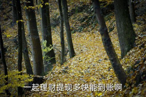 一起理財提現(xiàn)多快能到賬啊