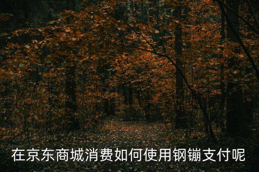 在京東商城消費(fèi)如何使用鋼镚支付呢