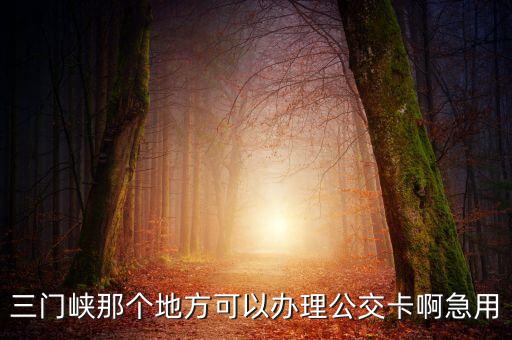 三門峽那個地方可以辦理公交卡啊急用