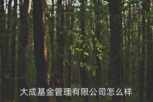 大成基金公司怎么樣，定投大成基金怎么樣求助意見(jiàn)指導(dǎo)