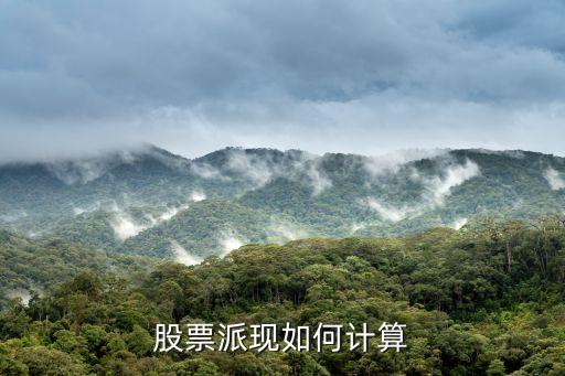 股票派現(xiàn)如何計算