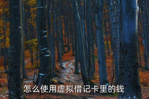怎么使用虛擬借記卡里的錢