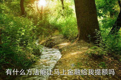 有什么方法能讓馬上金融給我提額嗎
