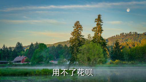 花唄好用不了怎么辦，從去年開始支付寶花唄為什么一直用不了