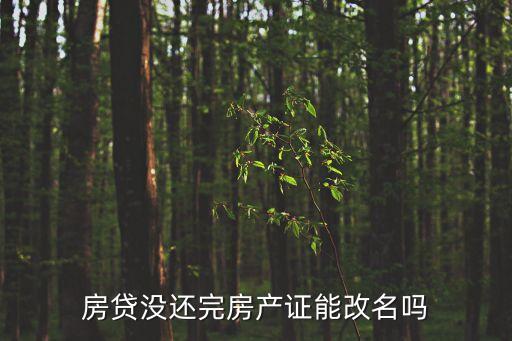 房貸沒還完房產(chǎn)證能改名嗎