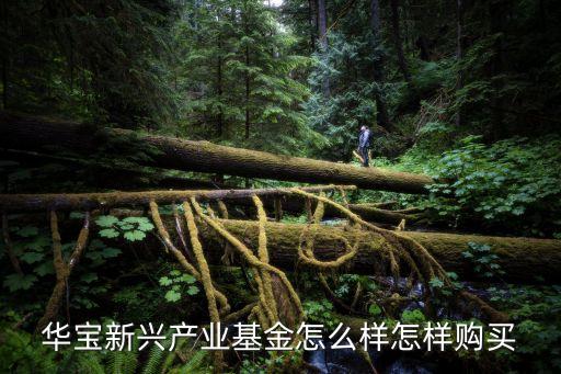 000992基金怎么樣，交銀主題 基金到底怎么樣呀建倉(cāng)期了