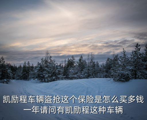 盜搶險怎么買，46萬的汽車想買盜搶險要多少錢