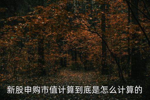 新股申購市值計算到底是怎么計算的