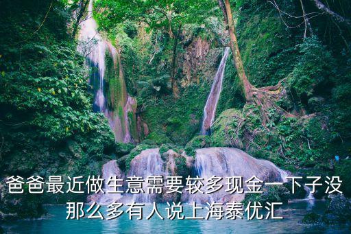 爸爸最近做生意需要較多現(xiàn)金一下子沒那么多有人說上海泰優(yōu)匯