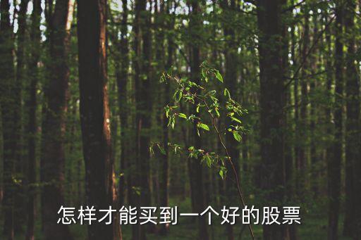 怎么買(mǎi)到一支好股票，怎樣才能買(mǎi)到一個(gè)好的股票