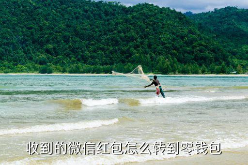 收到的微信紅包怎么轉(zhuǎn)到零錢包