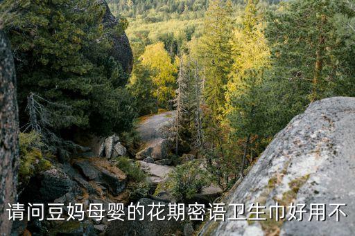 花期品牌怎么樣，請(qǐng)問(wèn)豆媽母嬰的花期密語(yǔ)衛(wèi)生巾好用不