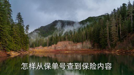 保險(xiǎn)怎么看被保內(nèi)容，如何查詢保單內(nèi)容