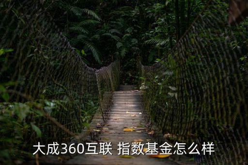 大成360互聯(lián) 指數(shù)基金怎么樣
