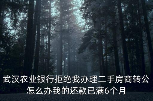 武漢農(nóng)業(yè)銀行拒絕我辦理二手房商轉(zhuǎn)公怎么辦我的還款已滿6個月