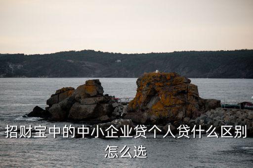 招財寶怎么買企業(yè)貸，招財寶中的中小企業(yè)貸個人貸什么區(qū)別怎么選