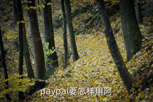 paypal要怎樣用阿