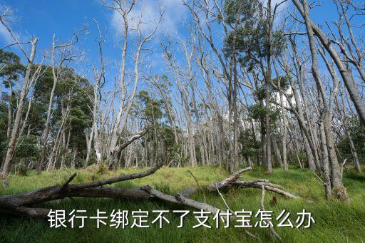 支付寶無法綁定銀行卡怎么辦，銀行卡綁定不了支付寶怎么辦