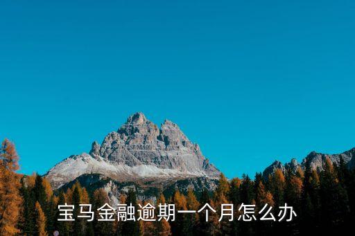 寶馬金融信用不好怎么辦，有不良信用記錄的在寶馬金融能夠做按揭嗎