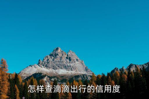 怎樣查滴滴出行的信用度