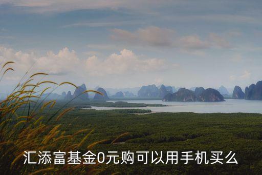 匯添富基金0元購(gòu)可以用手機(jī)買么