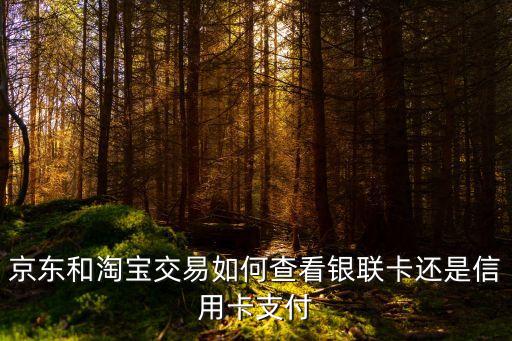 手機淘寶怎么看買家信用卡支付方式，淘寶購物怎么看支付方式