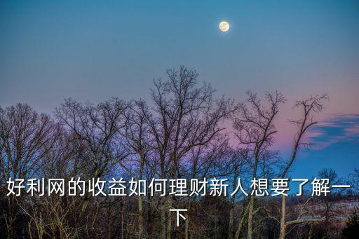 好利網(wǎng)的收益如何理財(cái)新人想要了解一下