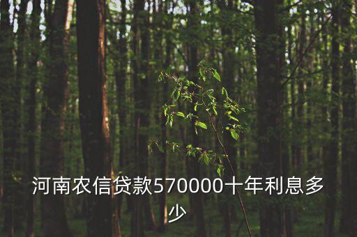 河南貸收益怎么樣，網絡借貸收益可觀河南哪幾個平臺做的比較好
