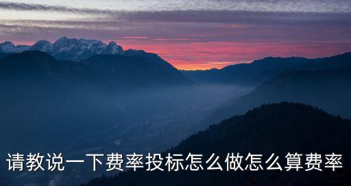 請(qǐng)教說(shuō)一下費(fèi)率投標(biāo)怎么做怎么算費(fèi)率