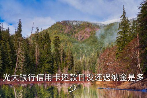 光大信用卡滯納金怎么算，光大信用卡逾期了滯納金利息怎么算