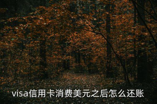 visa刷美金怎么還款，走Visa通道美元記賬的怎樣還款