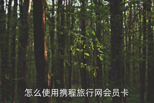 怎么使用攜程旅游卡，怎么使用攜程旅行網(wǎng)會員卡