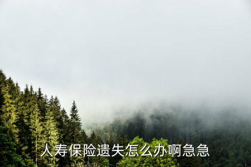 人壽保險(xiǎn)遺失怎么辦啊急急