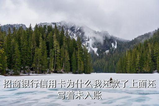 招商銀行未入賬怎么回事，招商銀行信用卡未入賬什么意思