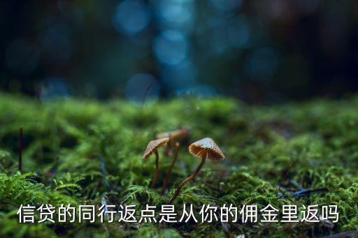 做信貸怎么談返點(diǎn)，信貸員與中介如何談點(diǎn)數(shù)