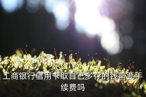 工商銀行信用卡取自己多存的錢需要手續(xù)費(fèi)嗎